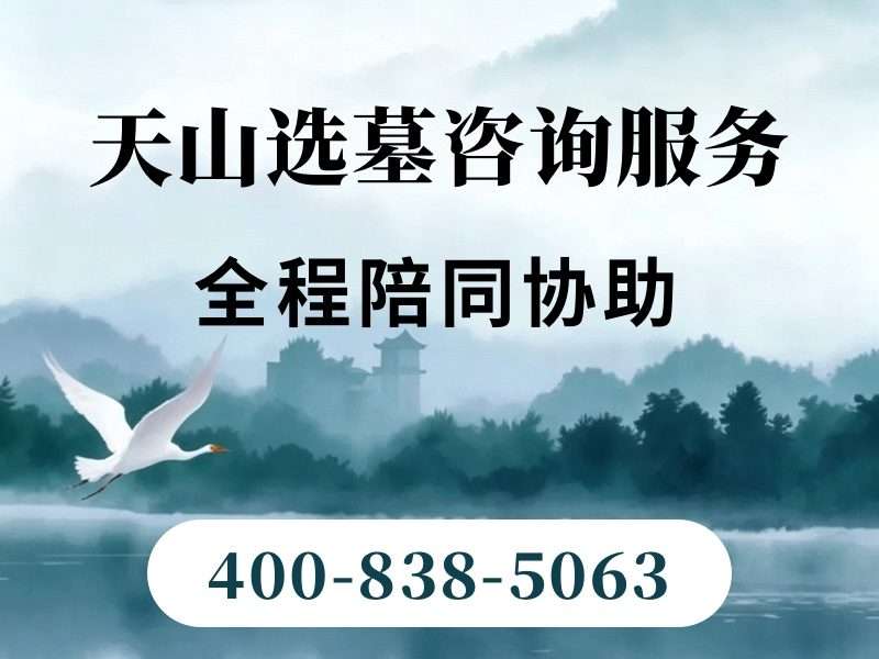 天山陵园天山雪水浇灌的常青树在戈壁里格外醒目：绿意奇迹与生命赞歌