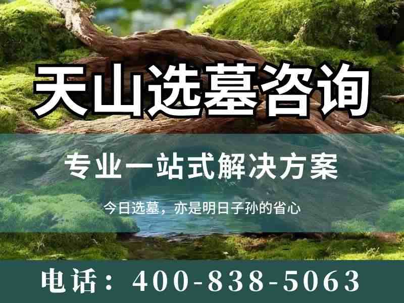 天山陵园天山壁葬：风沙大气候环境适应性深度解析