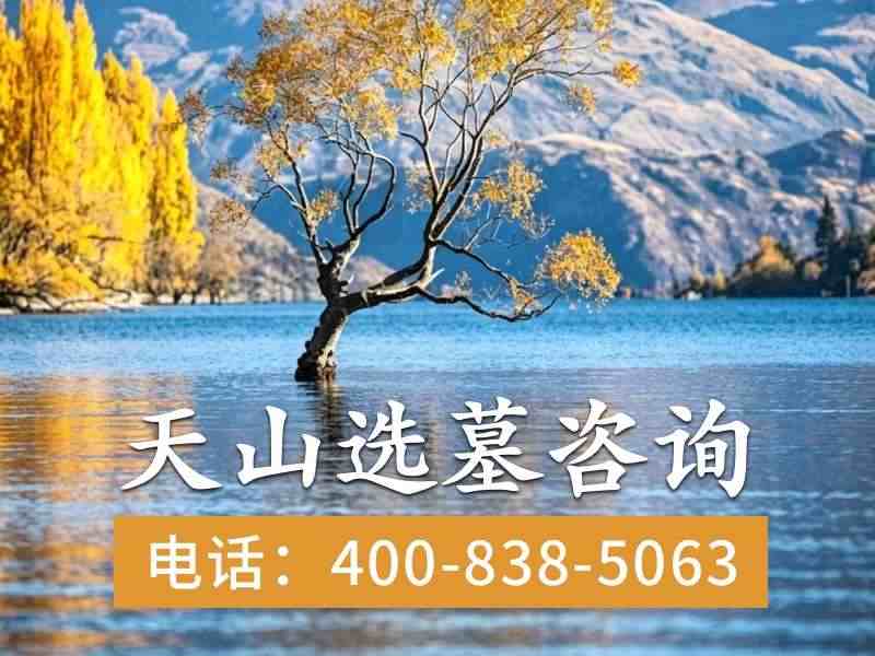 天山陵园墓碑起步价多少与戈壁墓园的真实花费对比分析