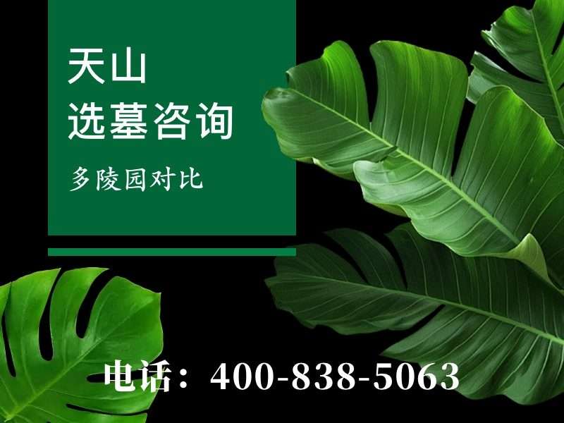 天山陵园夏天的戈壁热浪和墓区的阴凉形成对比：探索戈壁绿洲中的宁静圣地