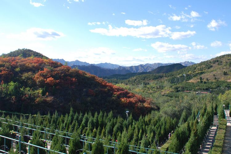 2022年天寿陵园和景仰园怎么选? 2022年天寿陵园和景仰园怎么选?